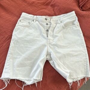 Everlane cheeky long short